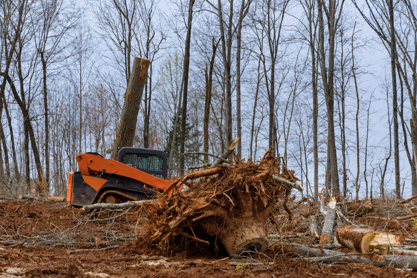 Land clearing in Los Altos Hills, CA