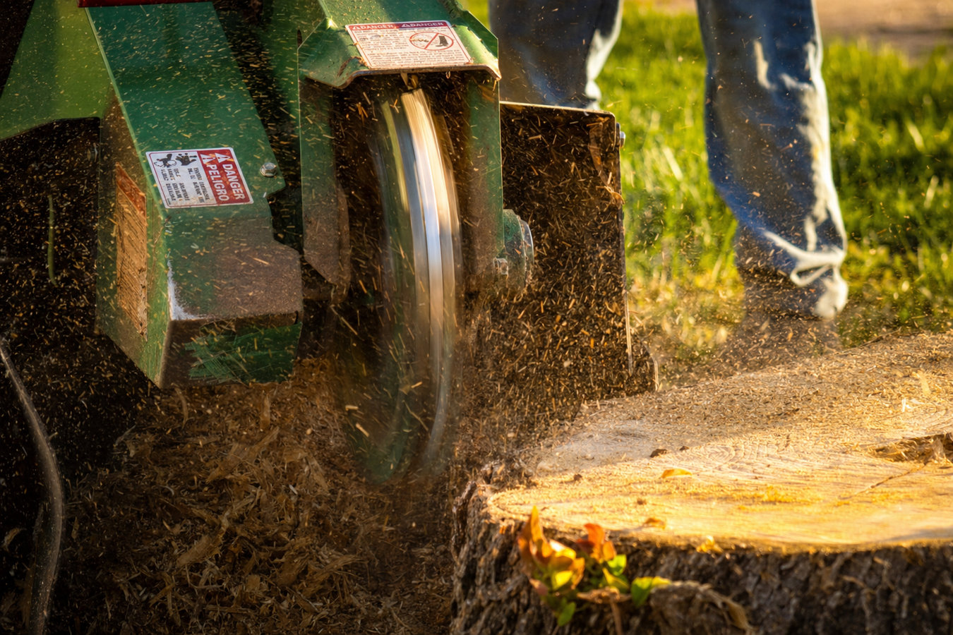 Stump grinding in Los Altos Hills, CA